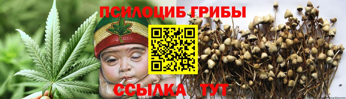 Псилоцибиновые грибы прущие грибы  Вход с VPN  Галлюциногенные грибы Psilocybe  Полевской 