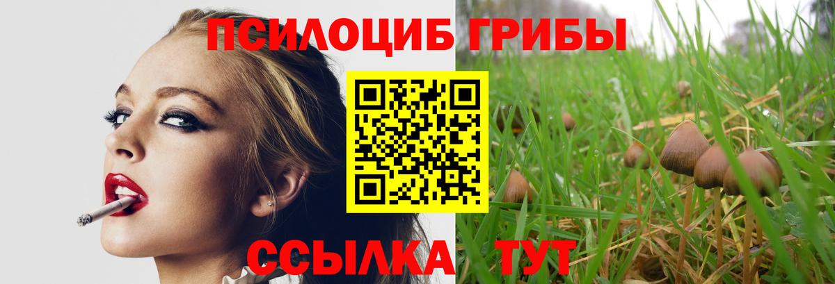Псилоцибиновые грибы Psilocybine cubensis Полевской